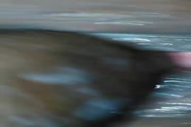 تحميل فديو حصان يدخل زبو في كس بنت
